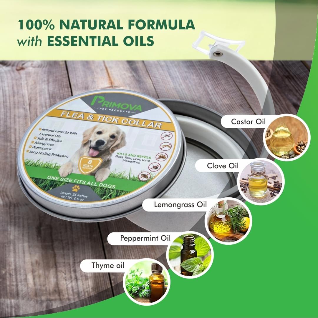 primova flea collar